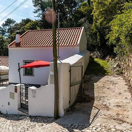 Casinha - Lusitalia Eden Villa Sintra Ngoại thất bức ảnh